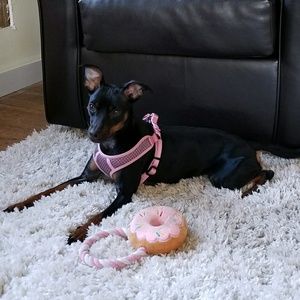 Meet your Posher, Donna